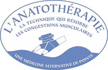 Institut International de Massothérapie et d'Anatothérapie